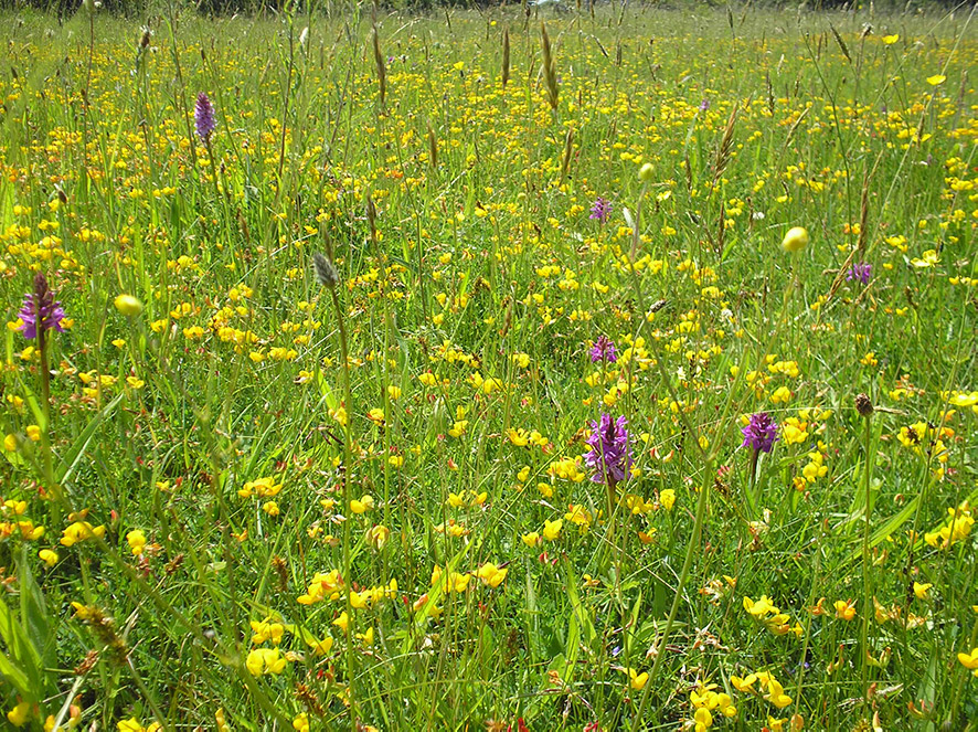 P6220082 Cromer Pier