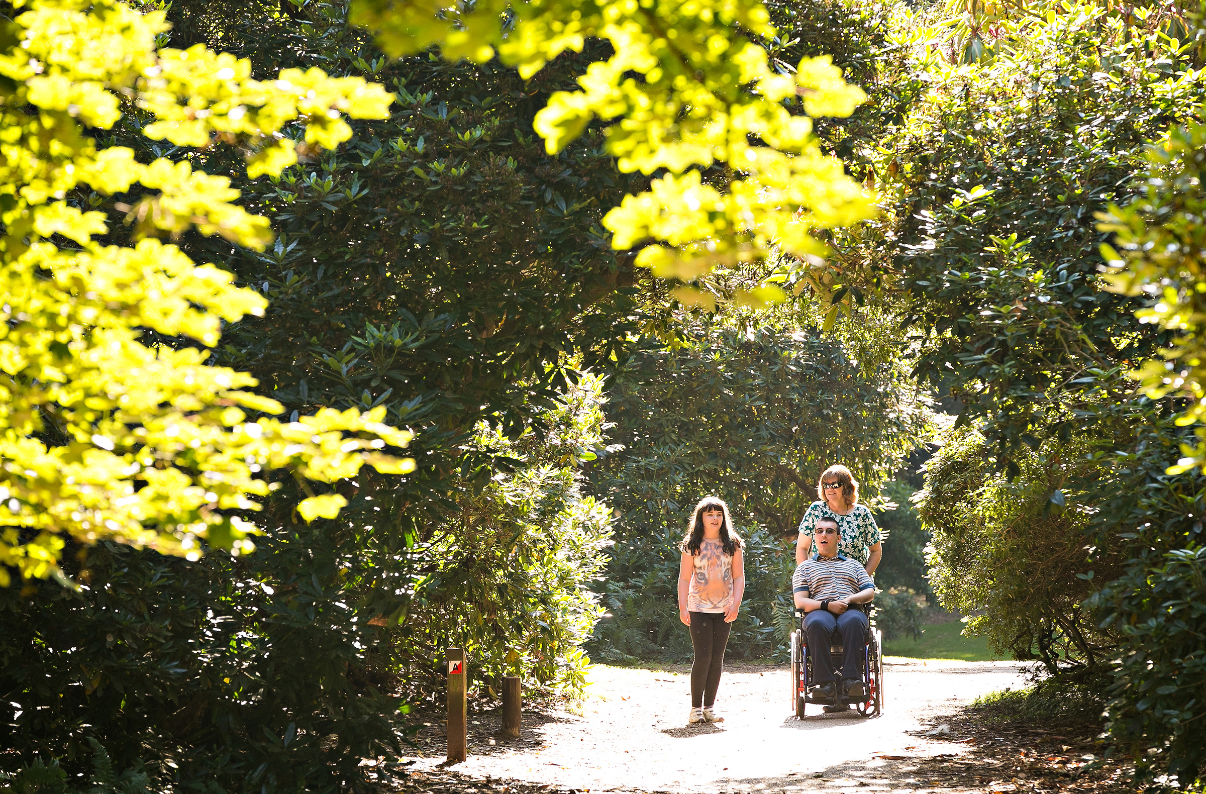 County walk and easy access at Sheringham Park