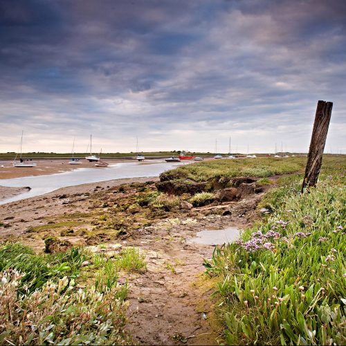 scenic-views-category