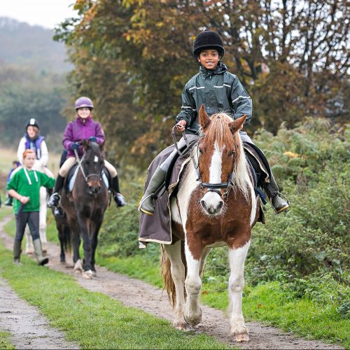 horse-riding-category