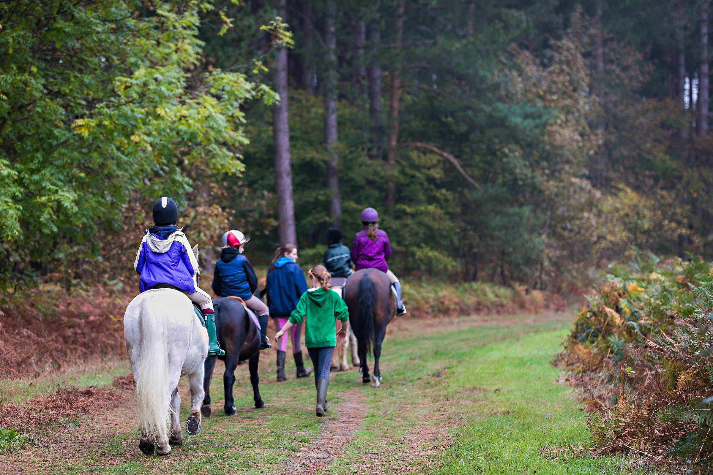 Horse Riding through Woods
