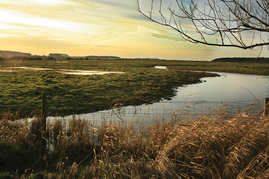 project 7 Cromer Pier